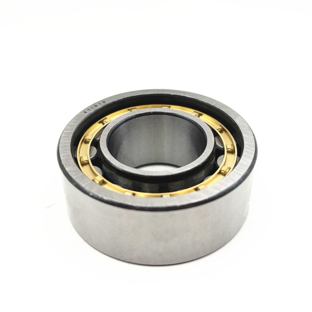 411919 Cylindrical Roller Bearing 30X62X24mm