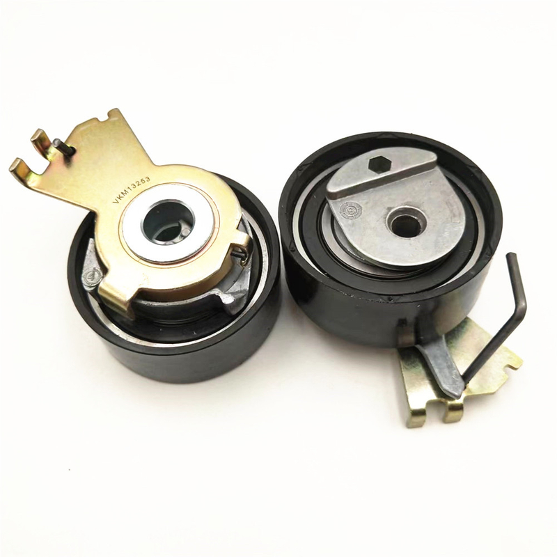  Bellt Tensioner Pully Auto Parts VKM13253 
