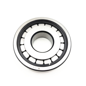 R-0694 Cylindrical Roller Bearing 30X80X23mm