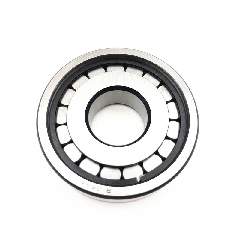 R-0694 Cylindrical Roller Bearing 30X80X23mm