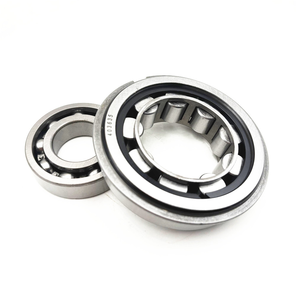 403635 Cylindrical Roller Bearing with Snap Ring 45X90X23mm