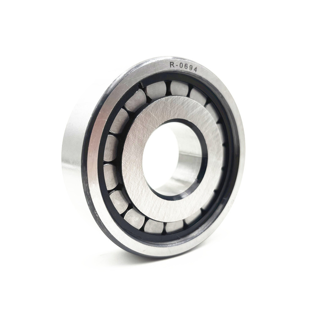 R-0694 Cylindrical Roller Bearing 30X80X23mm