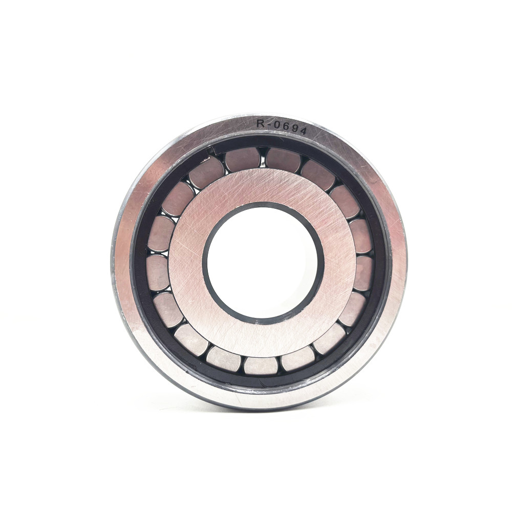 R-0694 Cylindrical Roller Bearing 30X80X23mm