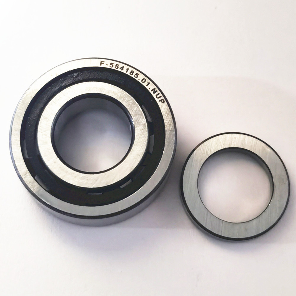  Cylindrical roller bearing F-554185.01.NUP 17X37X14mm